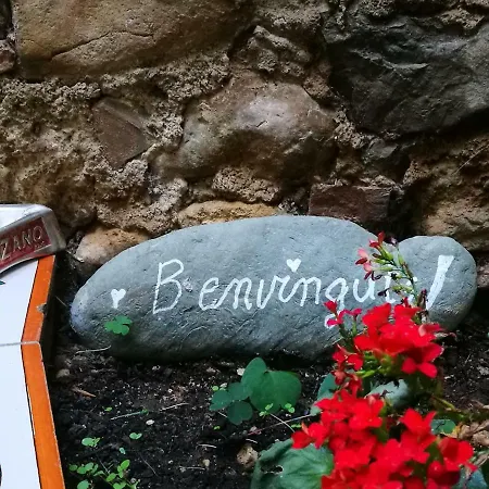 Apartament Ca La Teia Bellcaire d'Emporda Zewnętrze zdjęcie